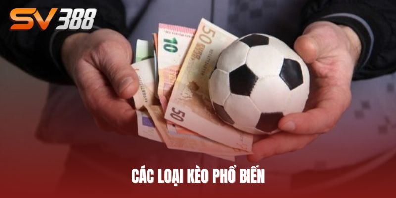 cá cược bóng đá