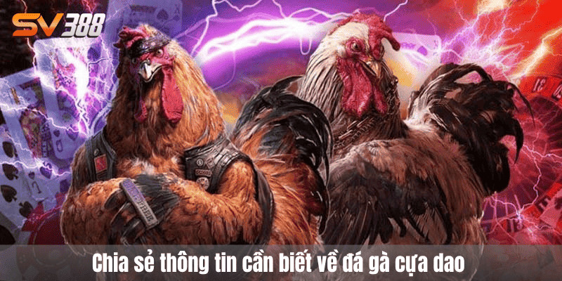 đá gà cựa dao