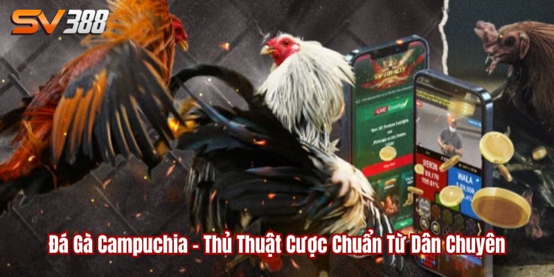 Đá gà campuchia