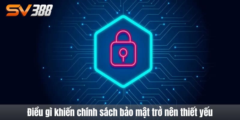 Chính Sách Bảo Mật