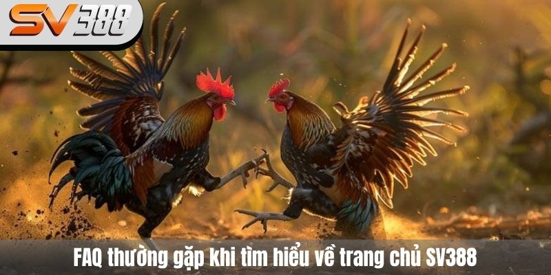 FAQ thường gặp khi tìm hiểu về trang chủ SV388