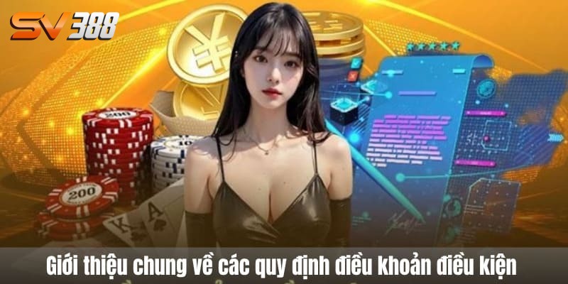 điều khoản điều kiện