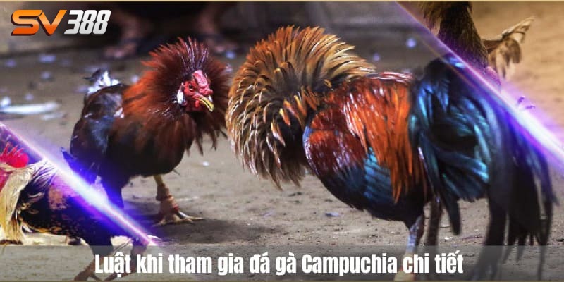 Đá gà campuchia