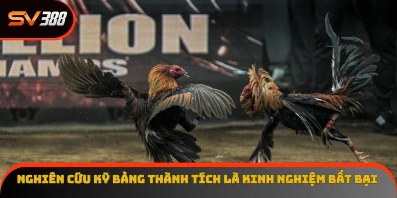 kinh nghiệm đá gà