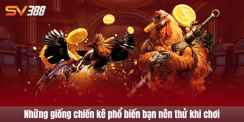đá gà cựa dao