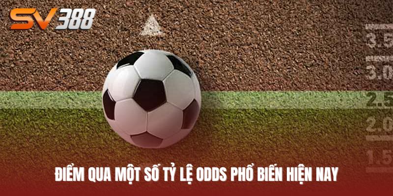 Odds là gì