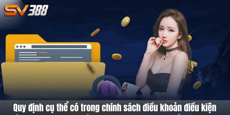 điều khoản điều kiện