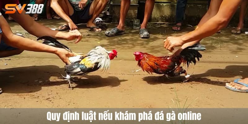 Đá gà online có bị bắt không