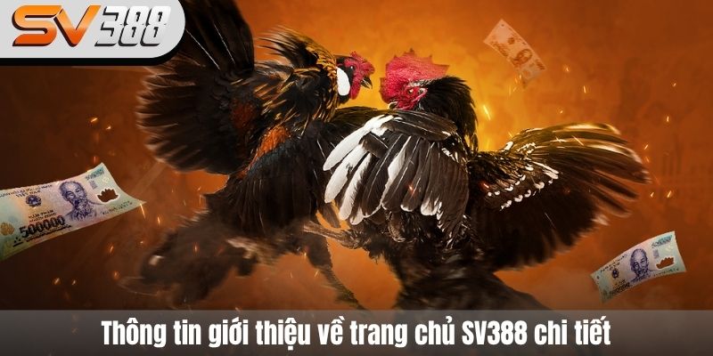 Thông tin giới thiệu về trang chủ SV388 chi tiết